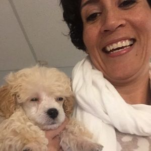 Meet your Posher, Grace